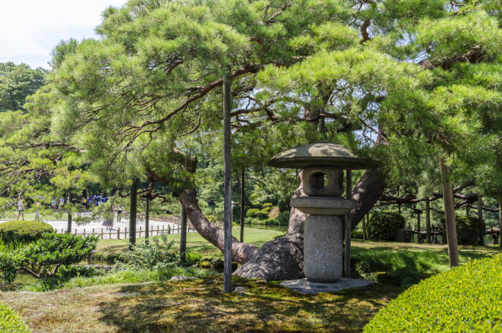 106 - Kanazawa - jardines Kenrokuen